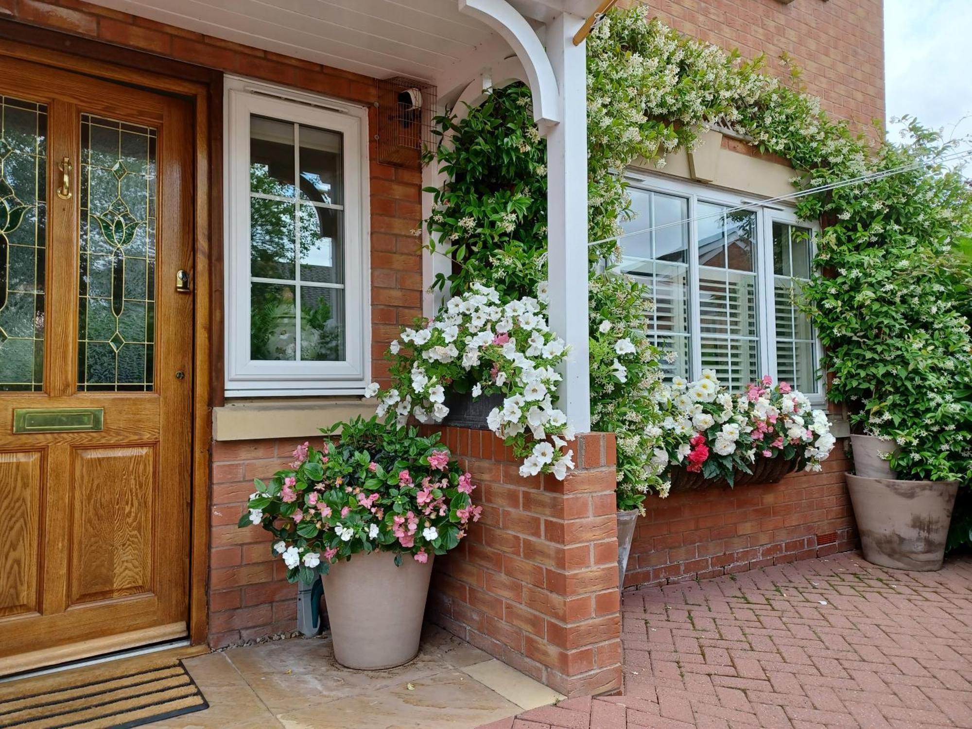 Harlequin B&B Ledbury Exterior photo